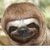 Meghan Root Leduc's profile image