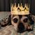 Preston Watts's profile image
