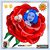 Clara Bantz's profile image