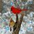 Nancy Shell's profile image