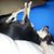 Cheri August Bell's profile image