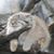 Taya Swenson Schmid's profile image