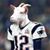 Karen MacDonald's profile image