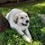Sherri Martin Henke's profile image