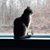 Ethel Shepard's profile image