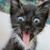 Jennie Sudie Carson's profile image