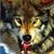 Peter Calbo's profile image