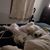 Theresa Bentz Fritz's profile image