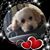 Sherry McBain Nomura's profile image