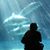 Kerstin Boyd's profile image