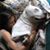 Manuela Marinello's profile image