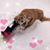 Anna Bouchard's profile image