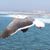 Jules Weinert's profile image
