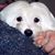 Robin Kaplan-Messer's profile image