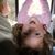 Susan Akin Allen's profile image
