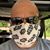 Tony Thompson's profile image