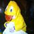 Chris Palmer's profile image