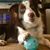 Wendi Kaye Butts's profile image