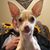 Mike Miller's profile image