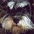 Leslie CarpenterHolt's profile image