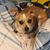 Matthew Brady Foster's profile image