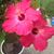 Josette Avery's profile image