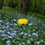 Donna M White's profile image