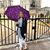 Alicia Ledden's profile image