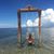 Sandra van Dongen's profile image
