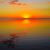 Matthew Blithe's profile image