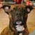 Kimberly Pockrandt Hubbard's profile image