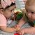 Debbie Wilburn Nimon's profile image