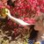 Serena Martinez Smyrni's profile image