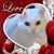 Grant Anderson's profile image