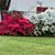 Candi Williams Price's profile image