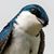 Buzz Miller's profile image