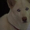 Jane C.'s profile image
