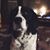 Teri J Meyer's profile image