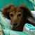 Kim Humbert's profile image