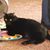 Julie Heinrich's profile image