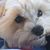 Kathy Rankin's profile image