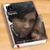 Missy Daye's profile image
