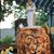 Elizabeth Jones Ewen's profile image