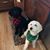 Cheryl Armato's profile image