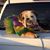 Bekki Fultz Hall's profile image