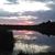 Debra Charnley Wallene's profile image