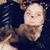 Ellie Start-Pomeroy's profile image