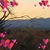 Amy Visscher Coy's profile image