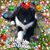 Denise Talbert Cox's profile image
