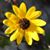 Amy Thorsen's profile image